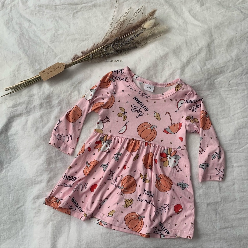 Fall Pumpkin Chicken Print Pink Dress 6-9 Months